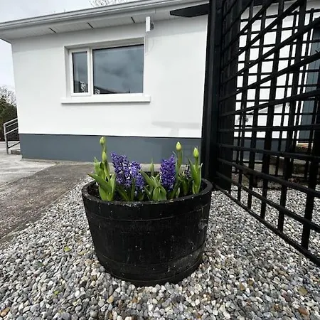 Mary's Place *